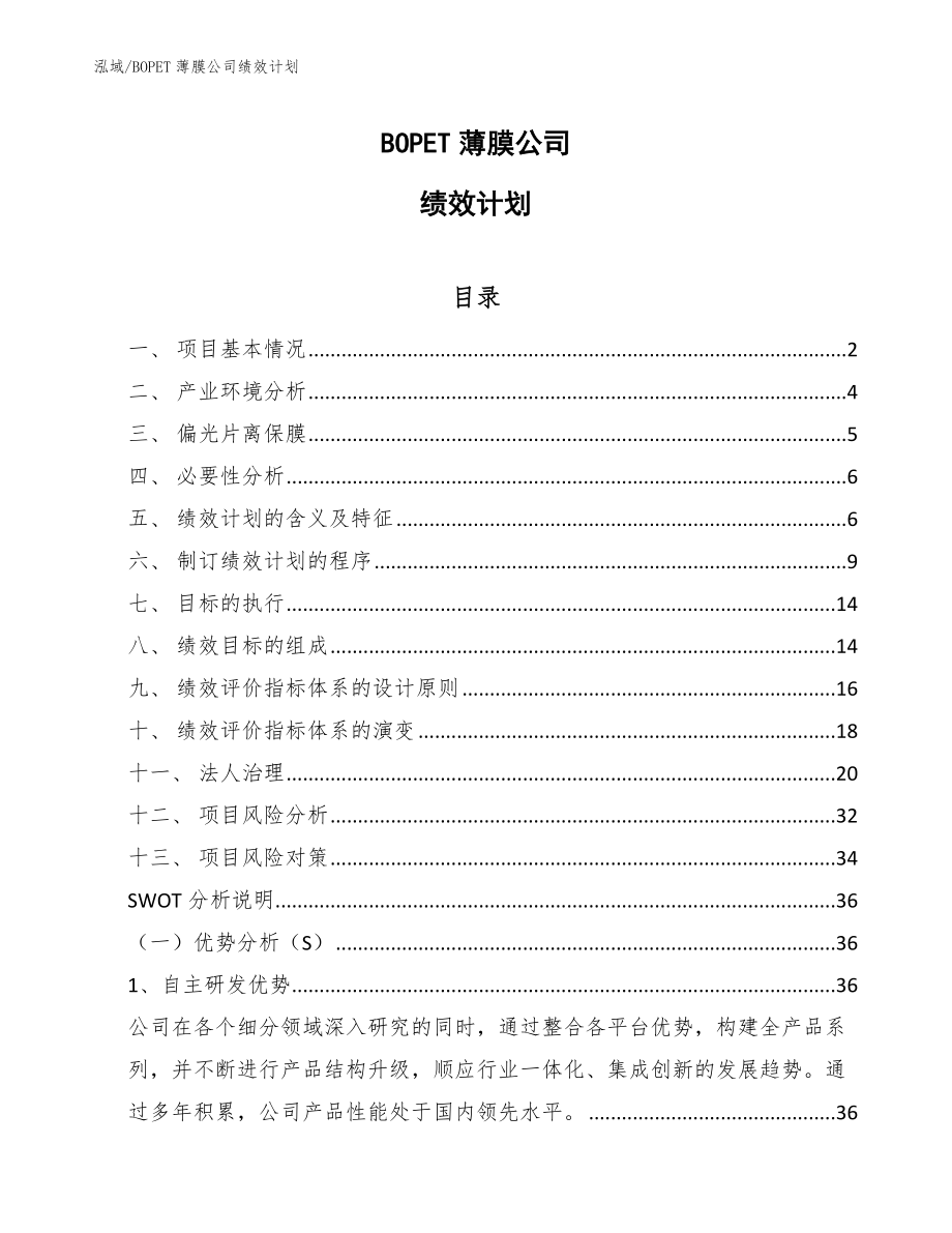 BOPET薄膜公司绩效计划_第1页