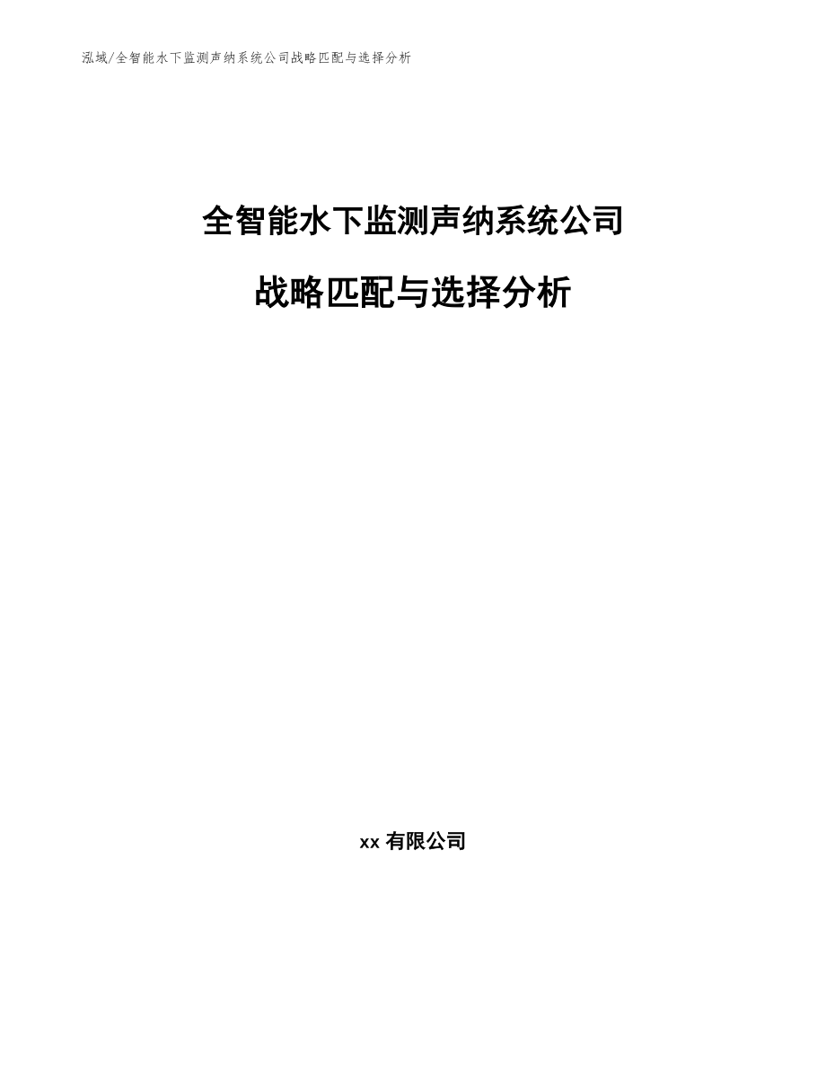 全智能水下监测声纳系统公司战略匹配与选择分析_第1页