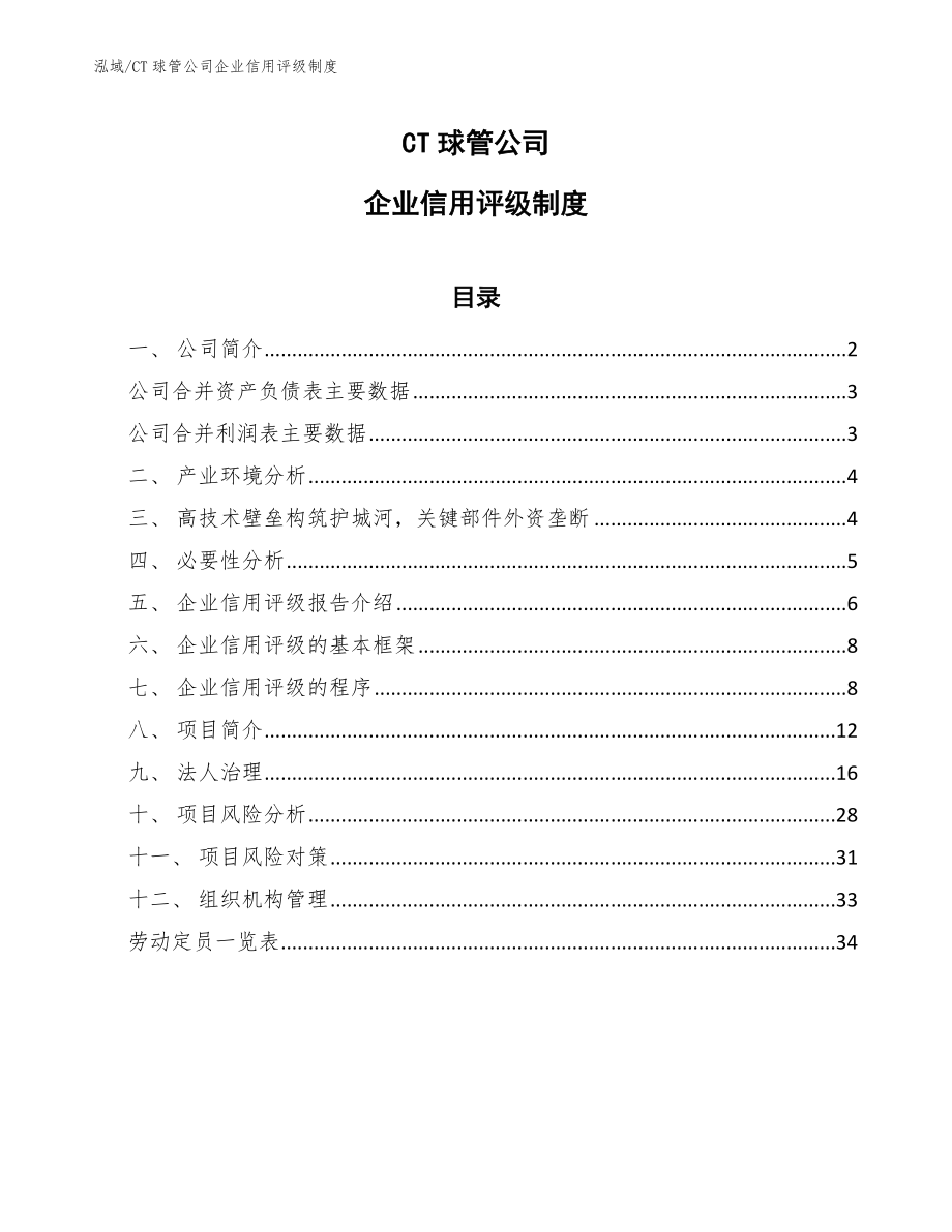 CT球管公司企业信用评级制度【范文】_第1页
