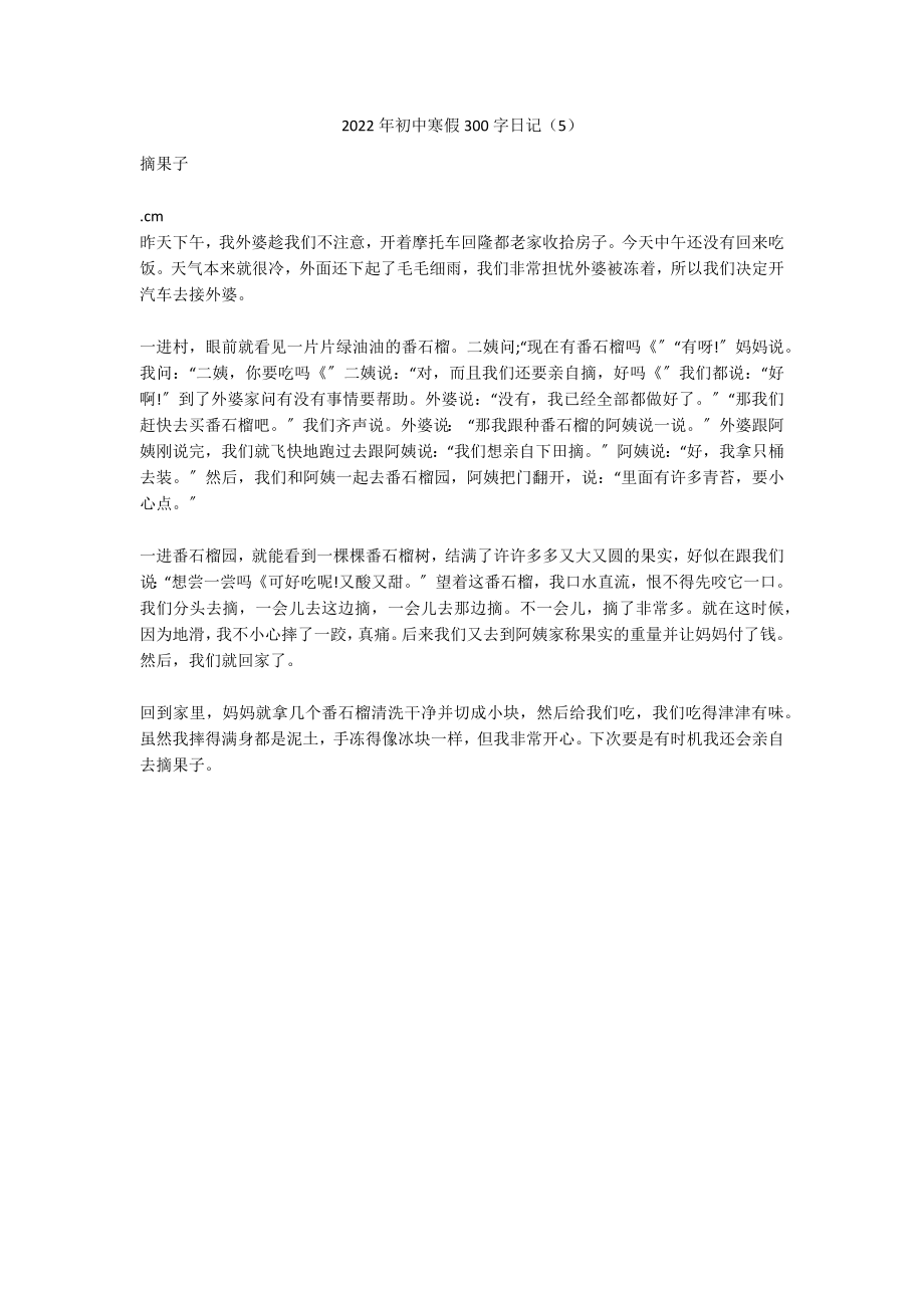 2022年初中寒假300字日记（5）_第1页
