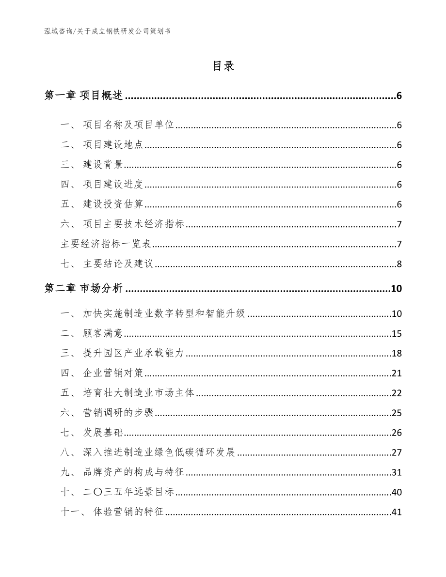 关于成立钢铁研发公司策划书（参考范文）_第1页