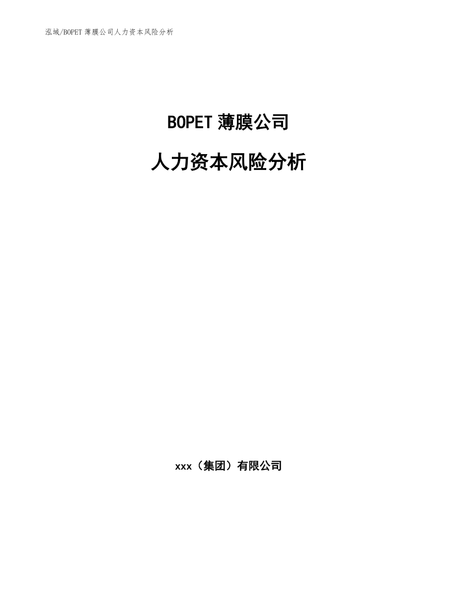 BOPET薄膜公司人力资本风险分析【范文】_第1页