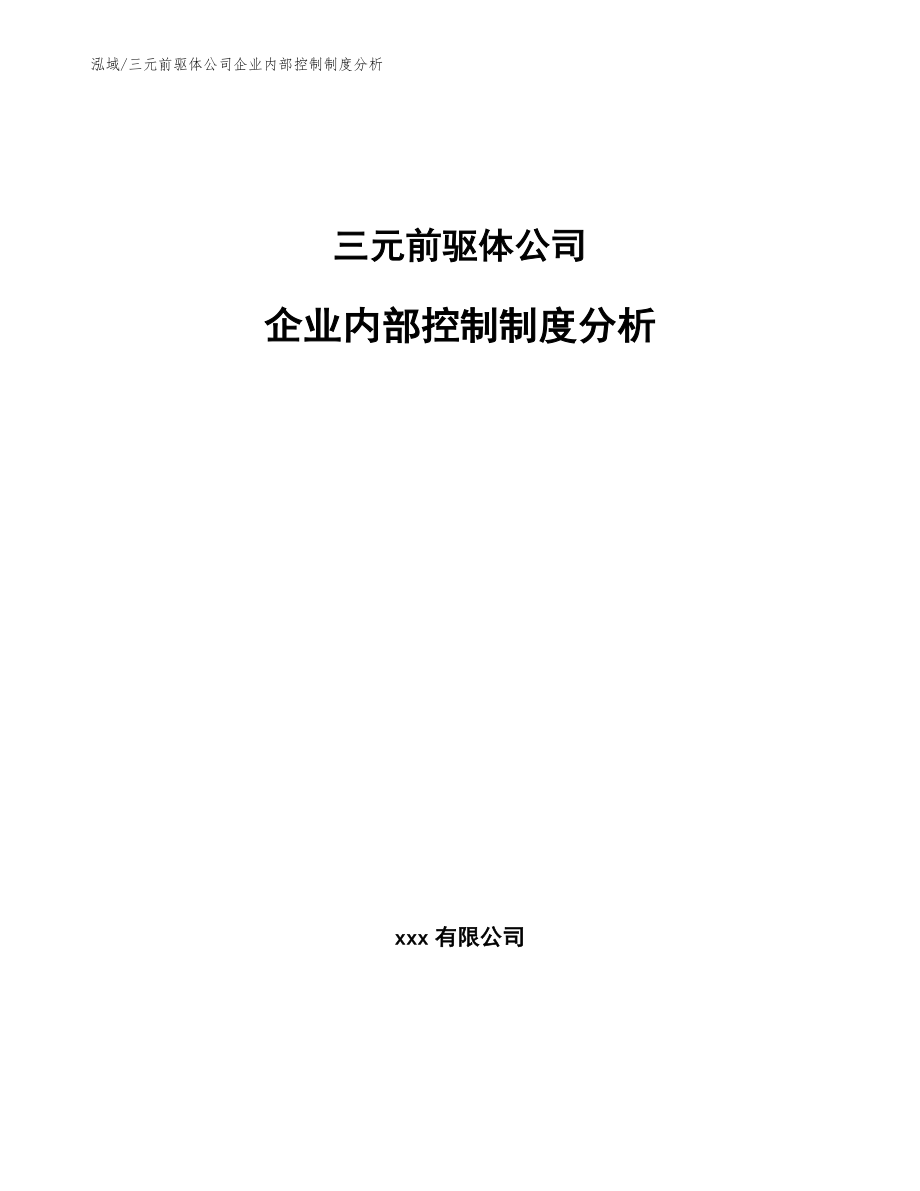 三元前驱体公司企业内部控制制度分析_第1页