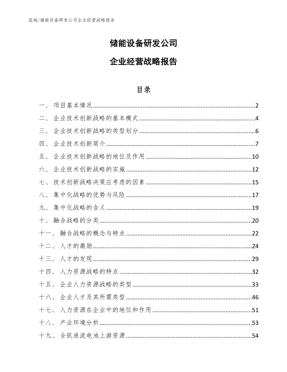 储能设备研发公司企业经营战略报告【参考】_第1页