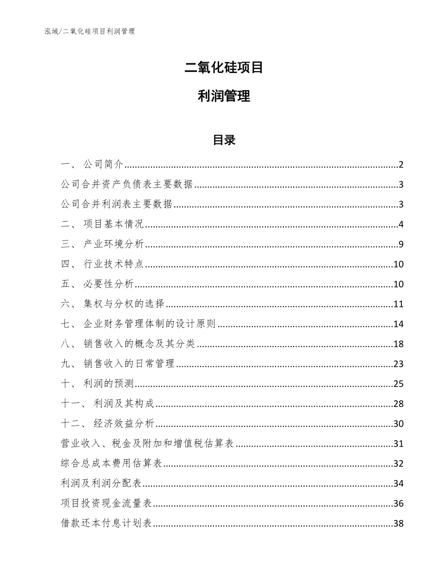 二氧化硅项目利润管理（参考）_第1页
