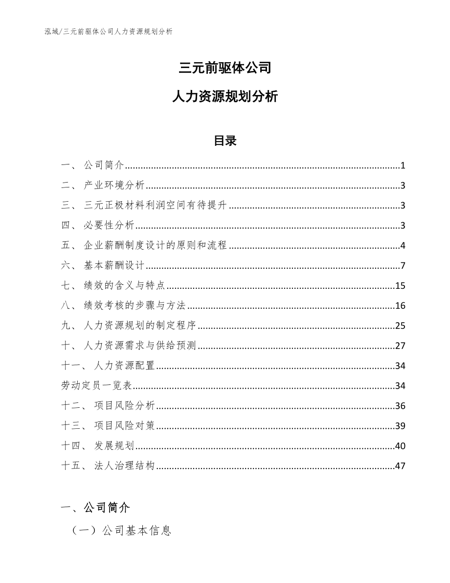 三元前驱体公司人力资源规划分析_第1页