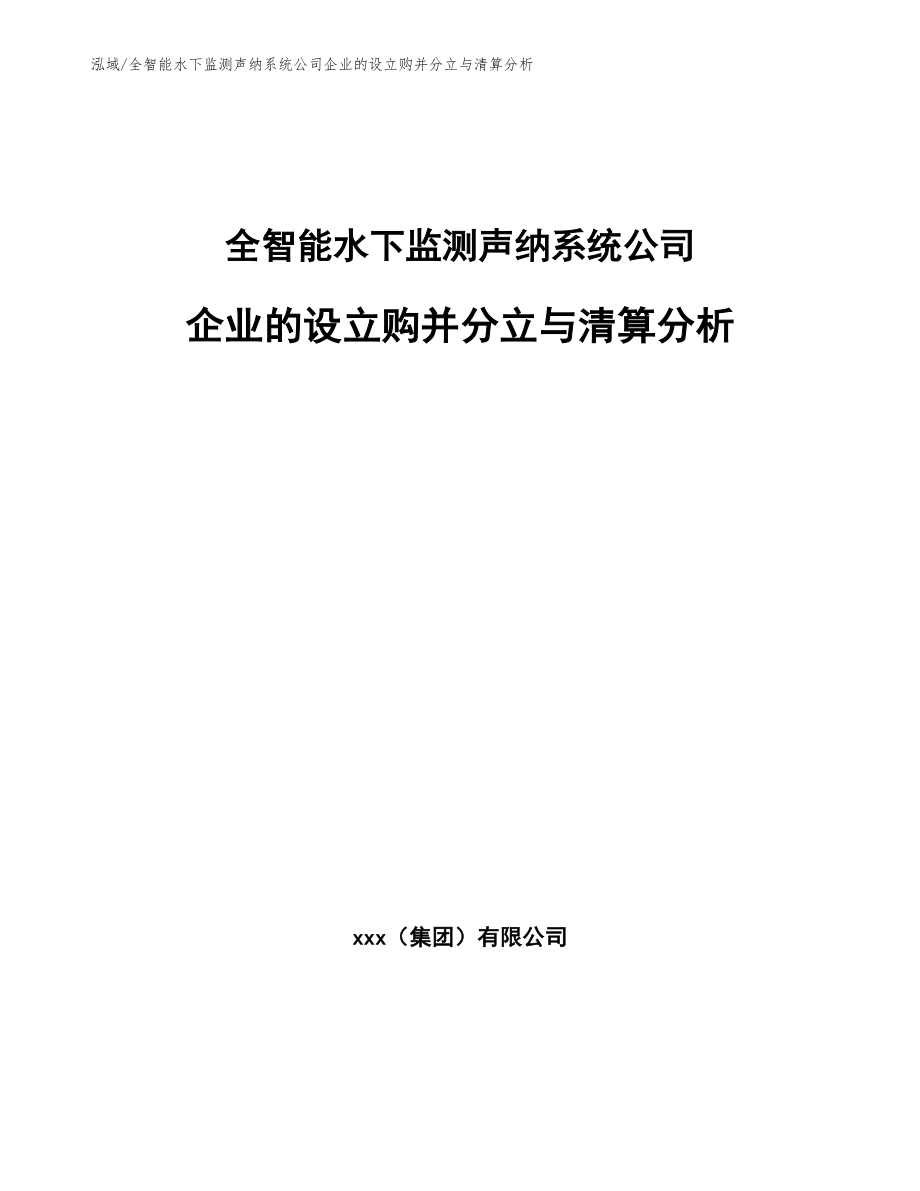 全智能水下监测声纳系统公司企业的设立购并分立与清算分析（范文）_第1页