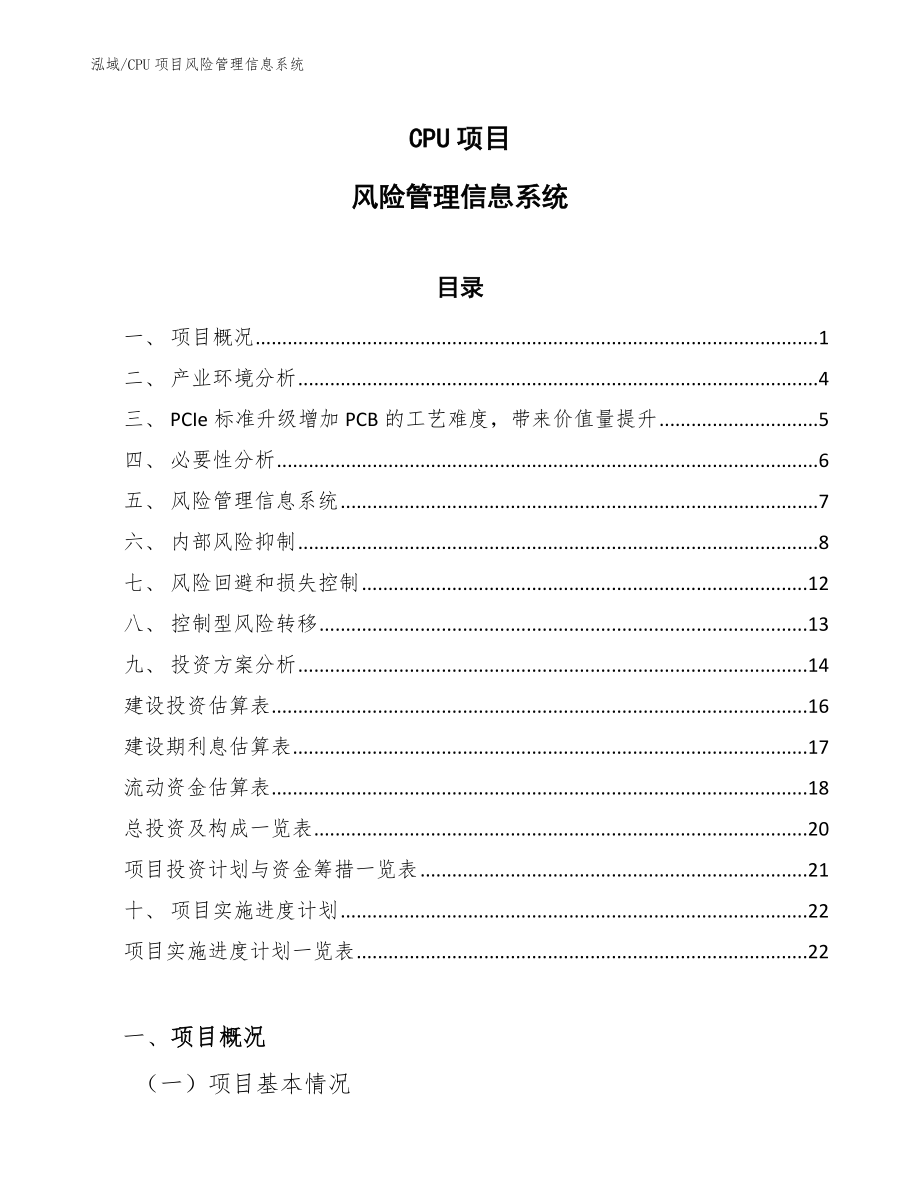 CPU项目风险管理信息系统_第1页
