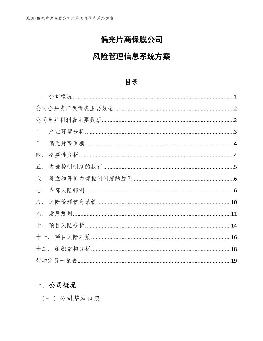 偏光片离保膜公司风险管理信息系统方案【参考】_第1页
