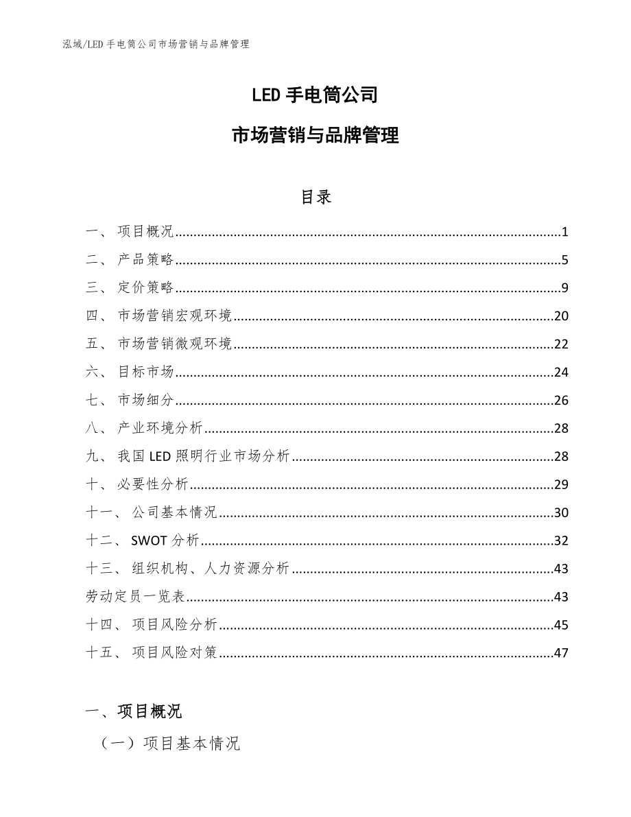 LED手电筒公司市场营销与品牌管理_第1页