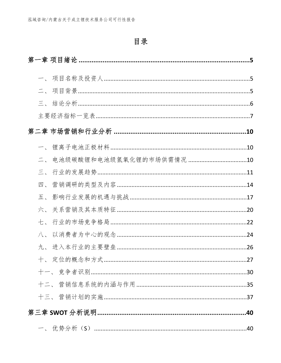 内蒙古关于成立锂技术服务公司可行性报告模板参考_第1页