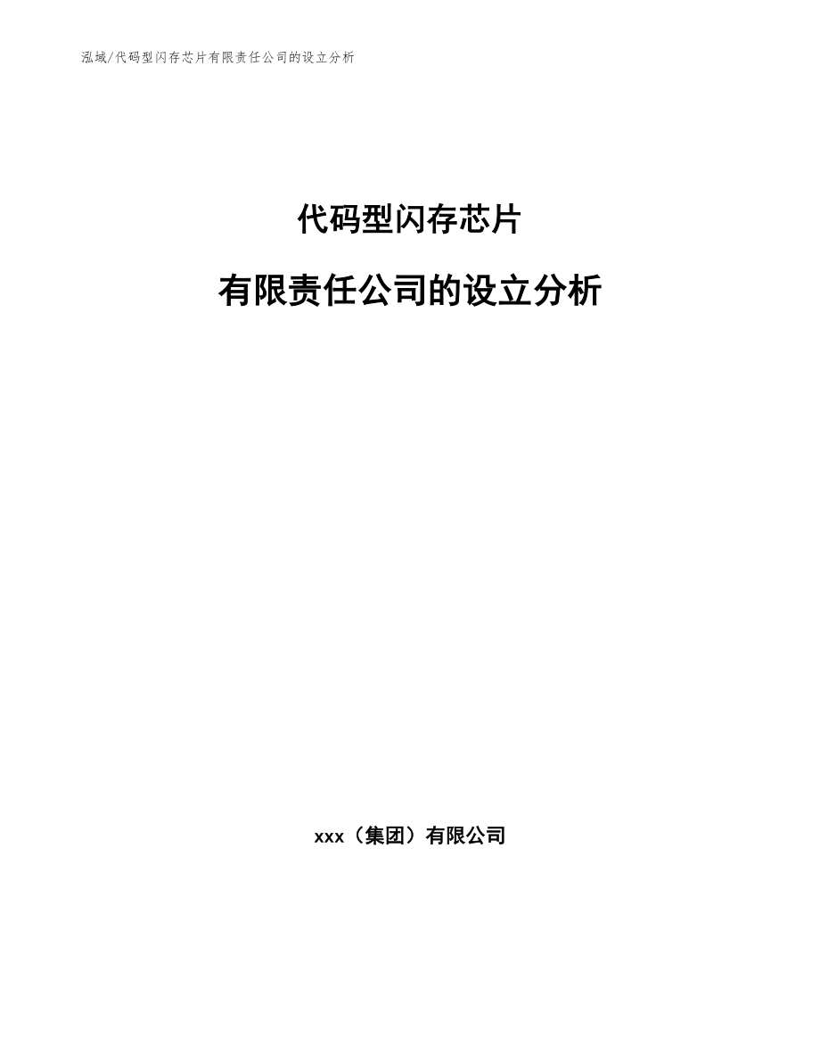 代码型闪存芯片有限责任公司的设立分析_第1页