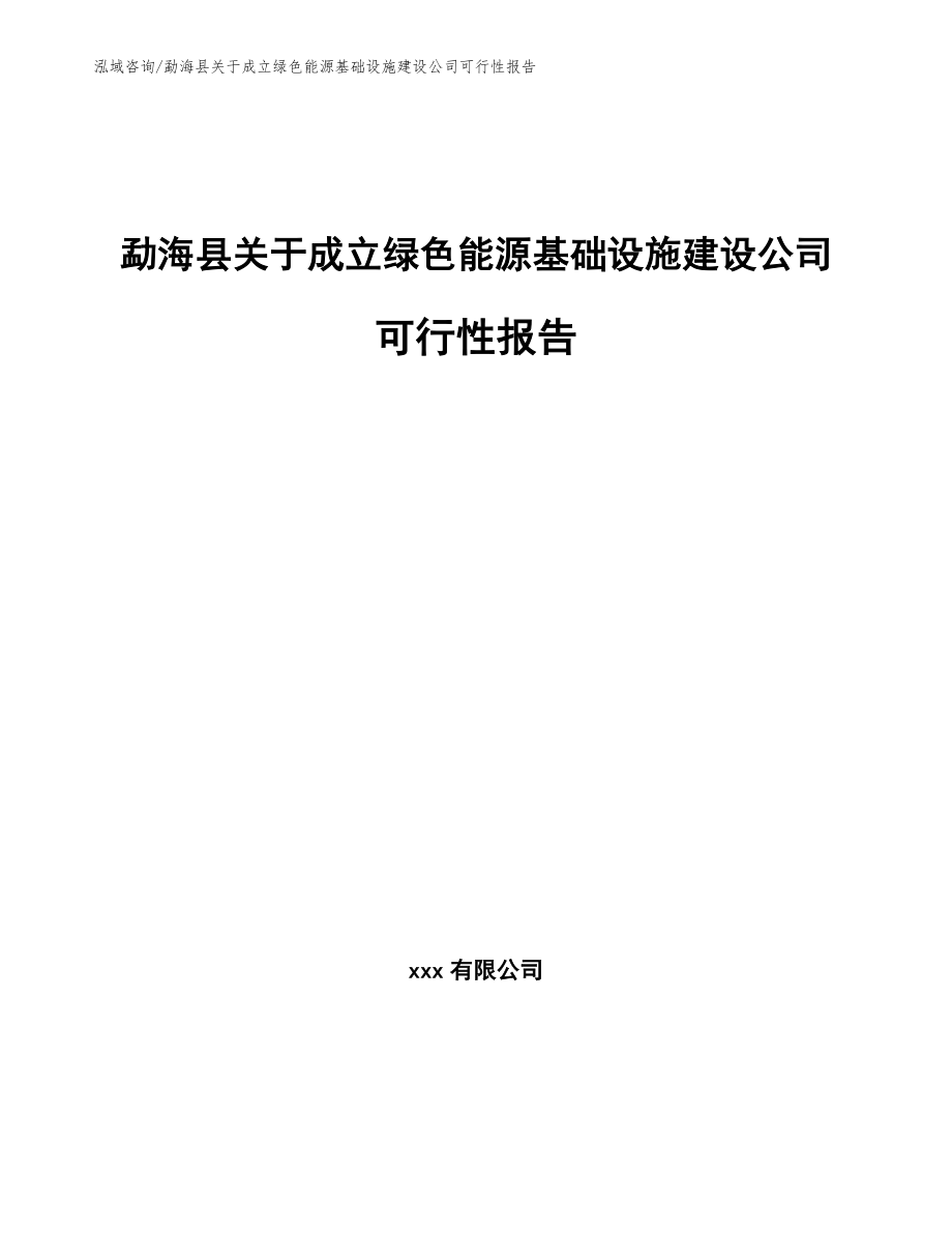 勐海县关于成立绿色能源基础设施建设公司可行性报告范文模板_第1页