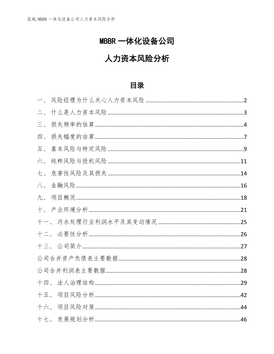 MBBR一体化设备公司人力资本风险分析（参考）_第1页