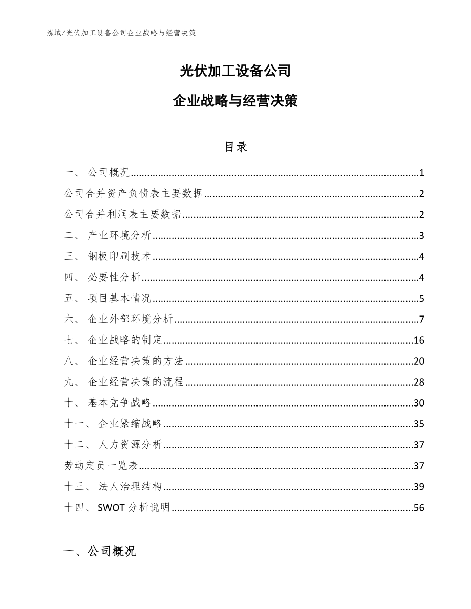 光伏加工设备公司企业战略与经营决策_第1页