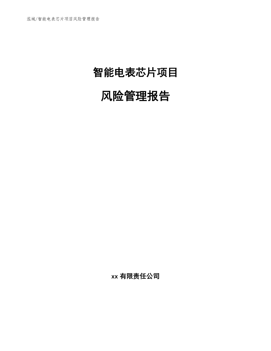 智能电表芯片项目风险管理报告【范文】_第1页