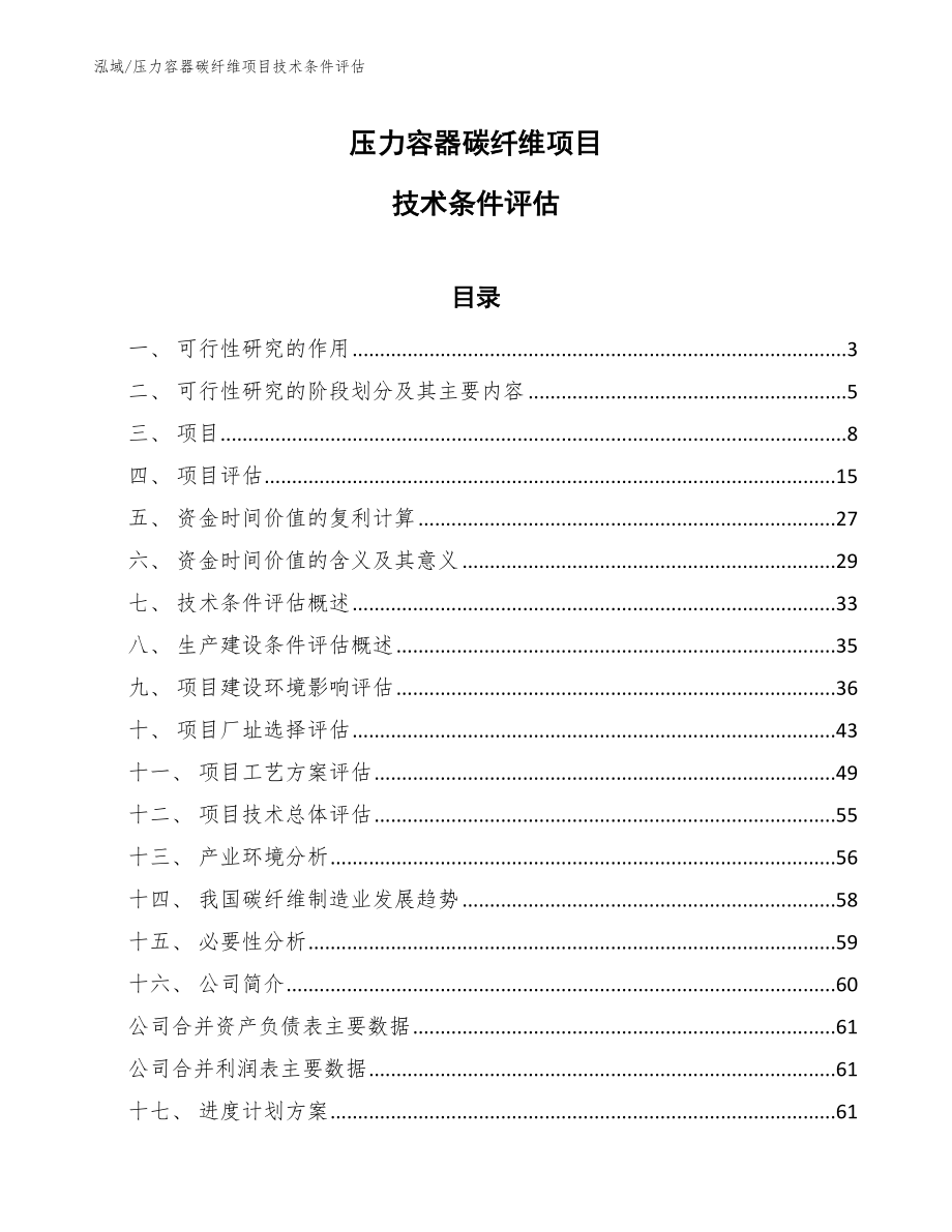 压力容器碳纤维项目技术条件评估_范文_第1页