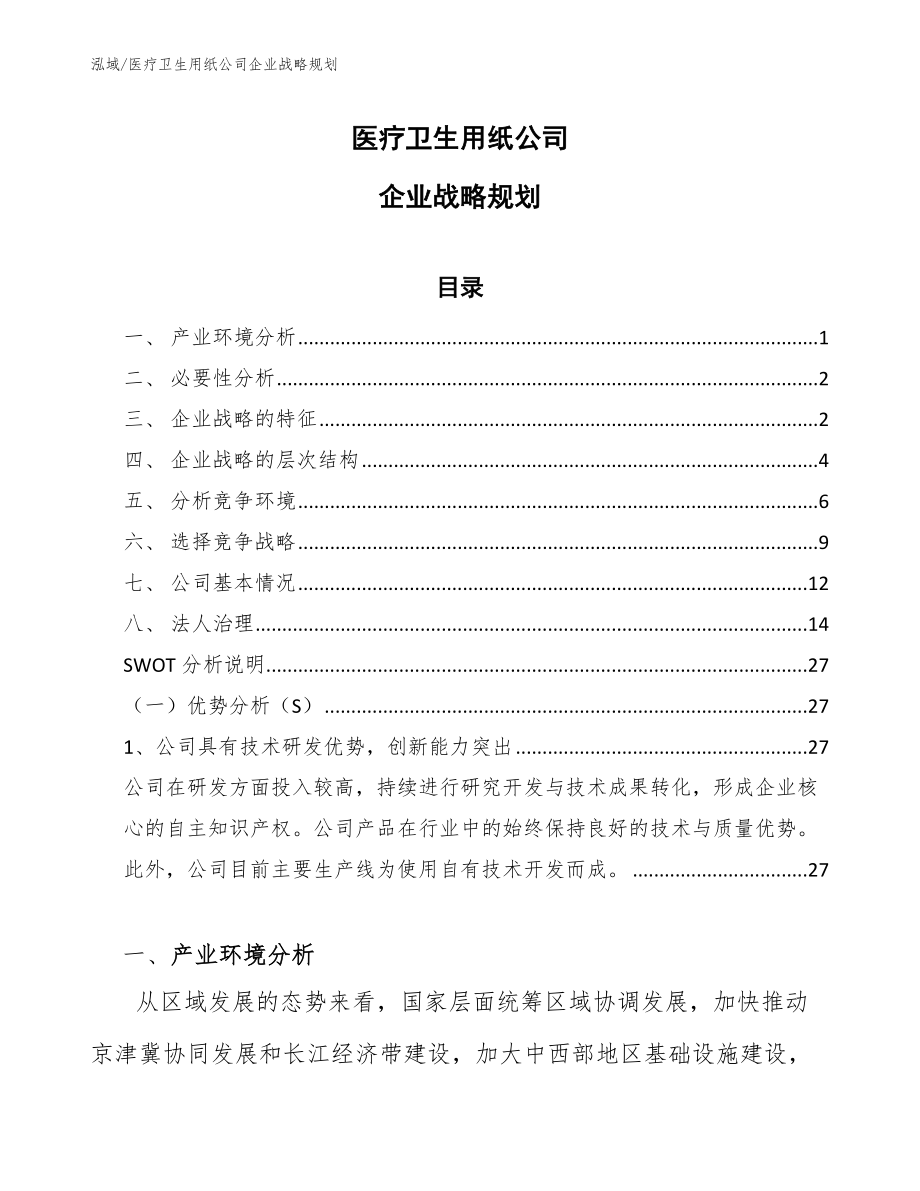 医疗卫生用纸公司企业战略规划【参考】_第1页