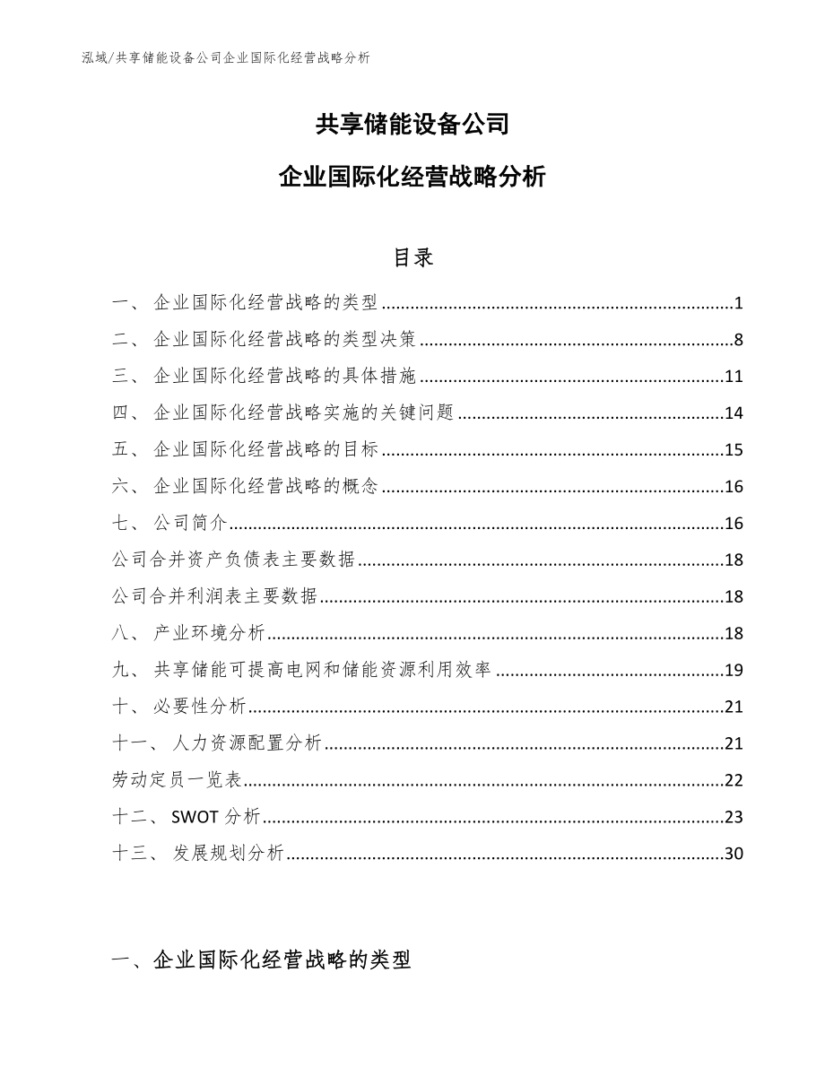共享储能设备公司企业国际化经营战略分析（参考）_第1页