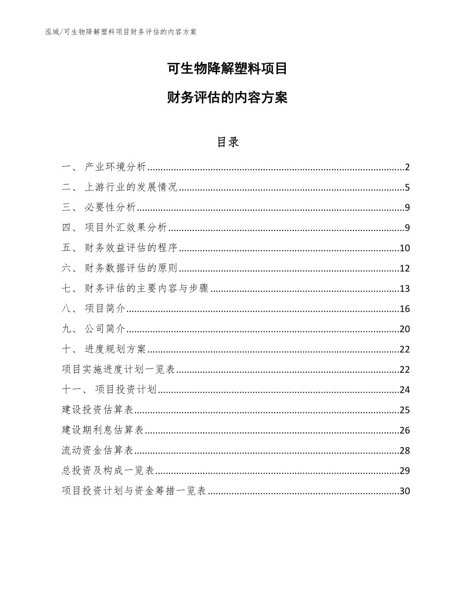 可生物降解塑料项目财务评估的内容方案（参考）_第1页