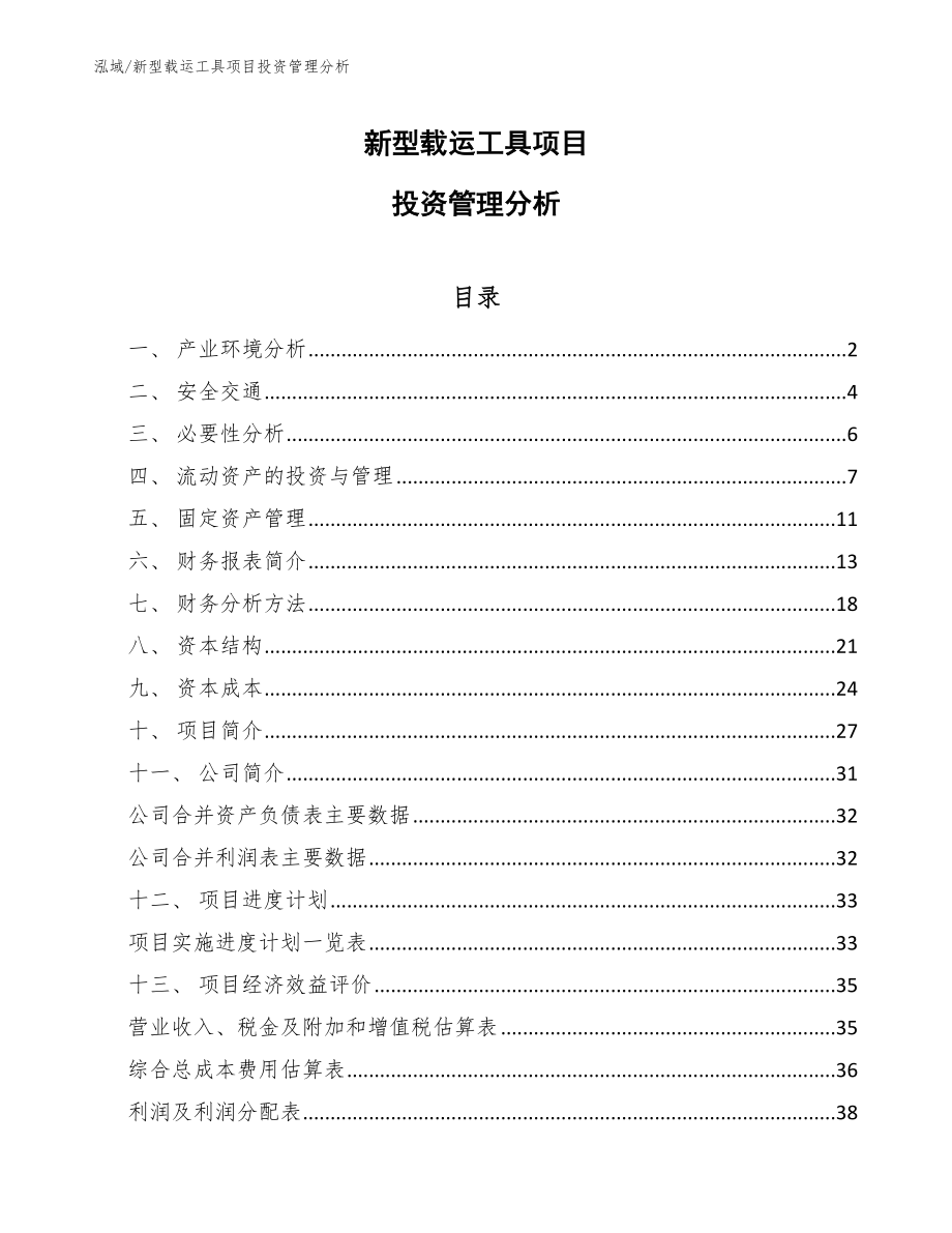 新型载运工具项目投资管理分析_第1页