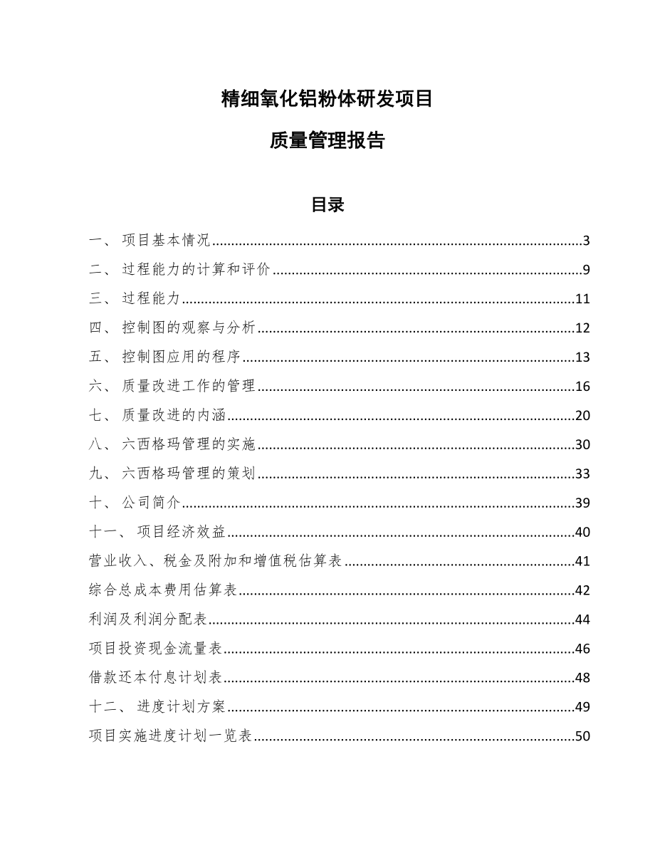 精细氧化铝粉体研发项目质量管理报告_范文_第1页
