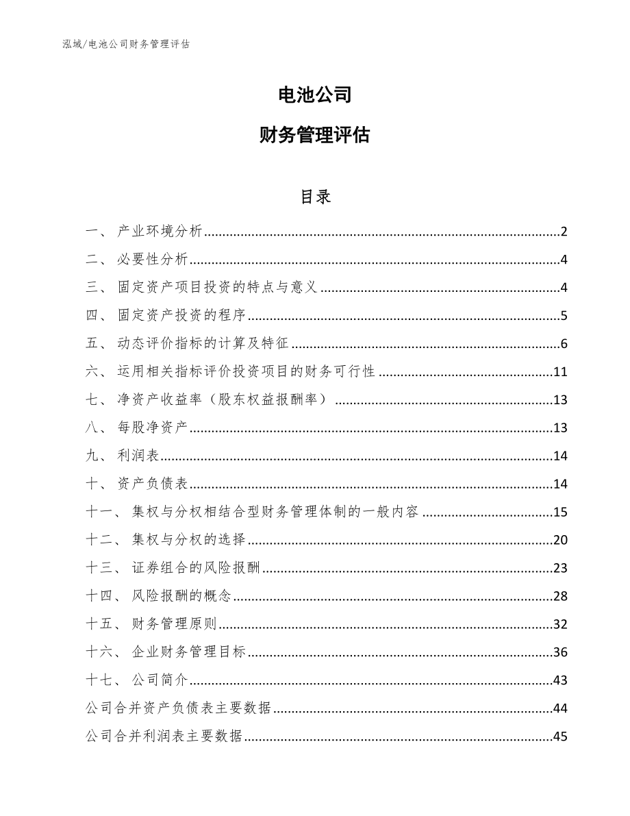 电池公司财务管理评估_第1页