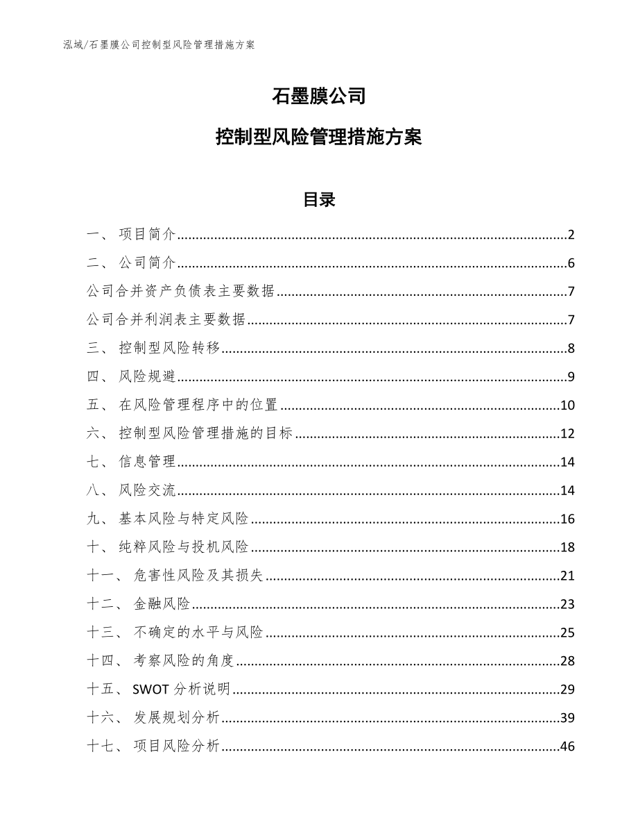 石墨膜公司控制型风险管理措施方案（参考）_第1页