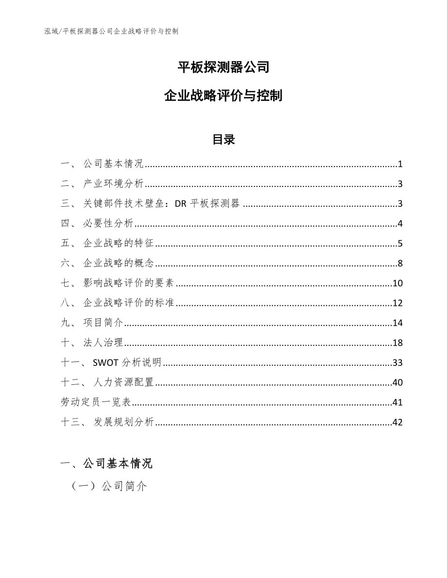 平板探测器公司企业战略评价与控制_第1页