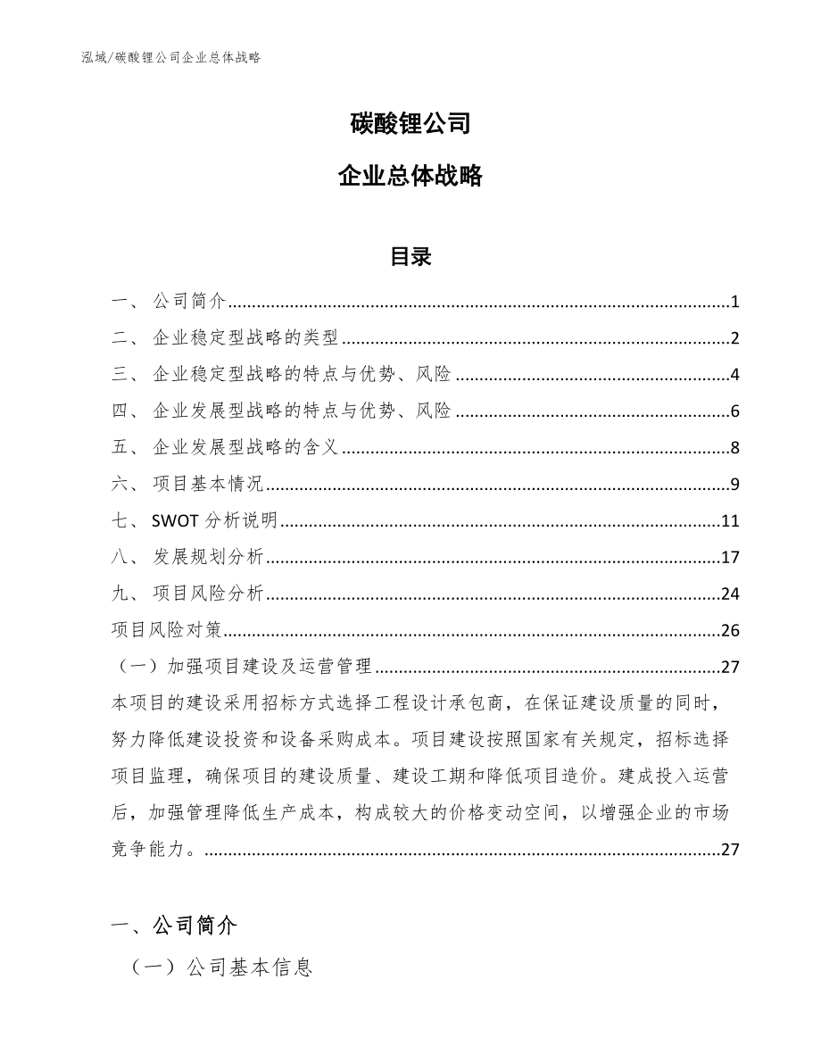 碳酸锂公司企业总体战略_第1页