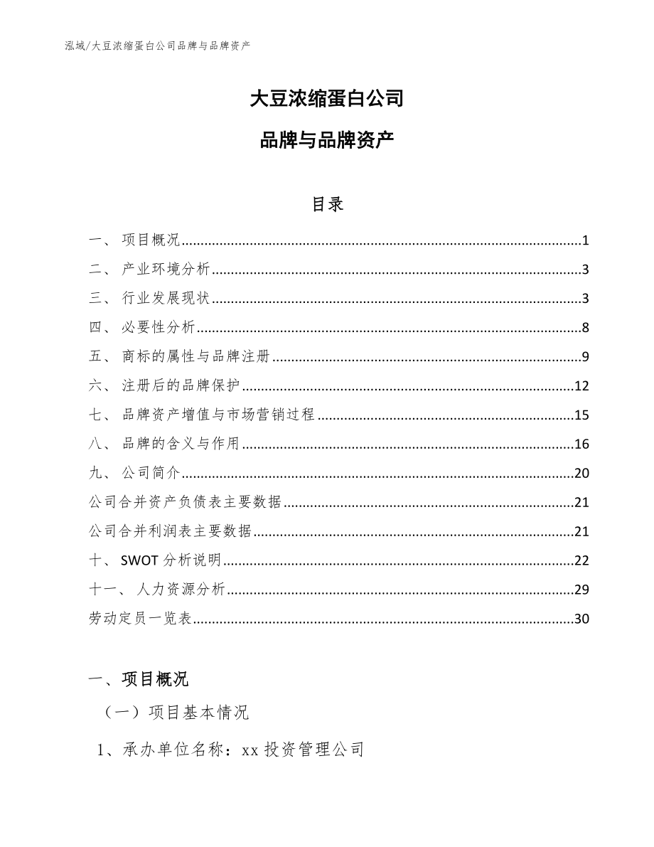大豆浓缩蛋白公司品牌与品牌资产_范文_第1页