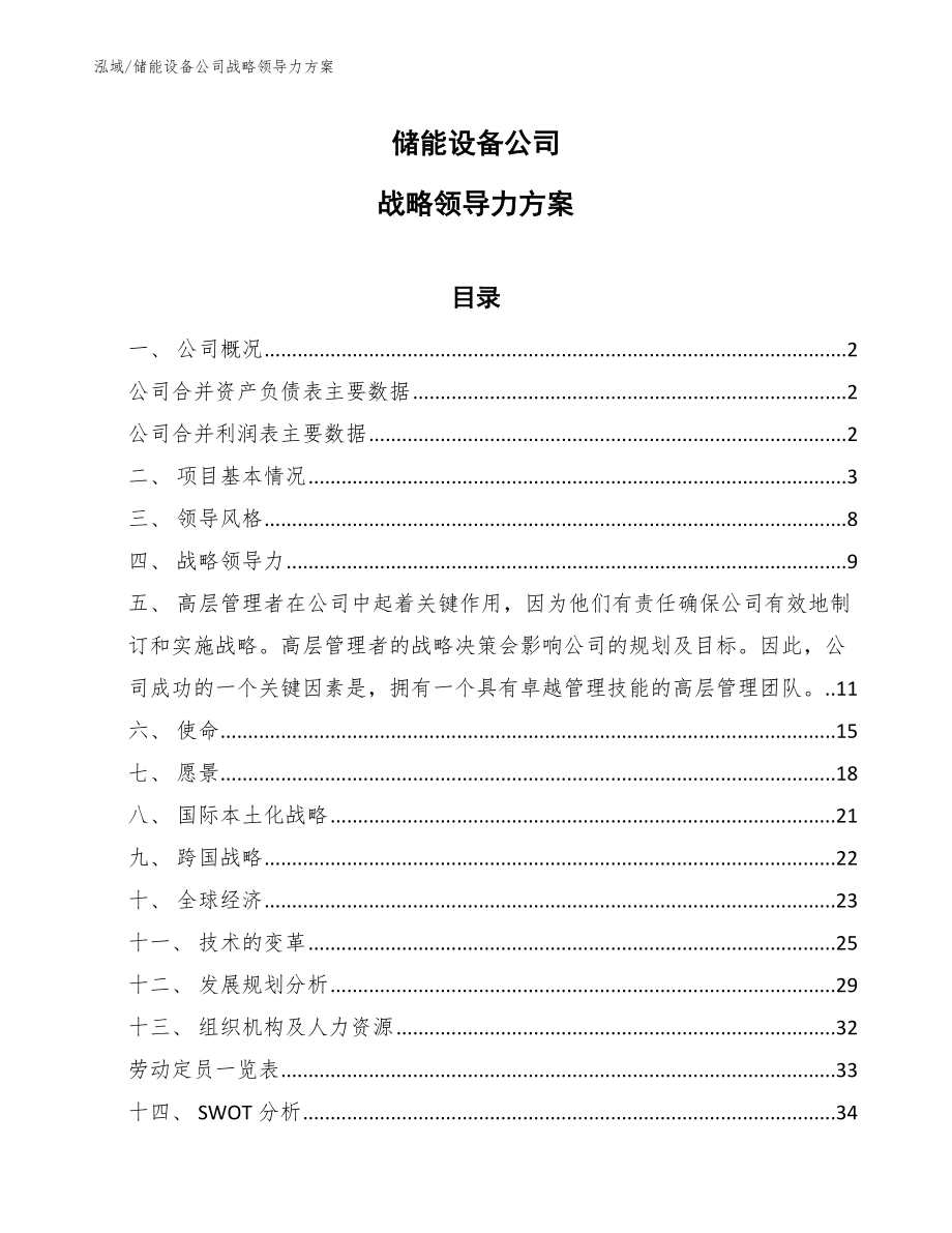 储能设备公司战略领导力方案_第1页