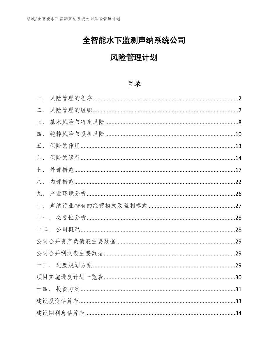 全智能水下监测声纳系统公司风险管理计划_范文_第1页