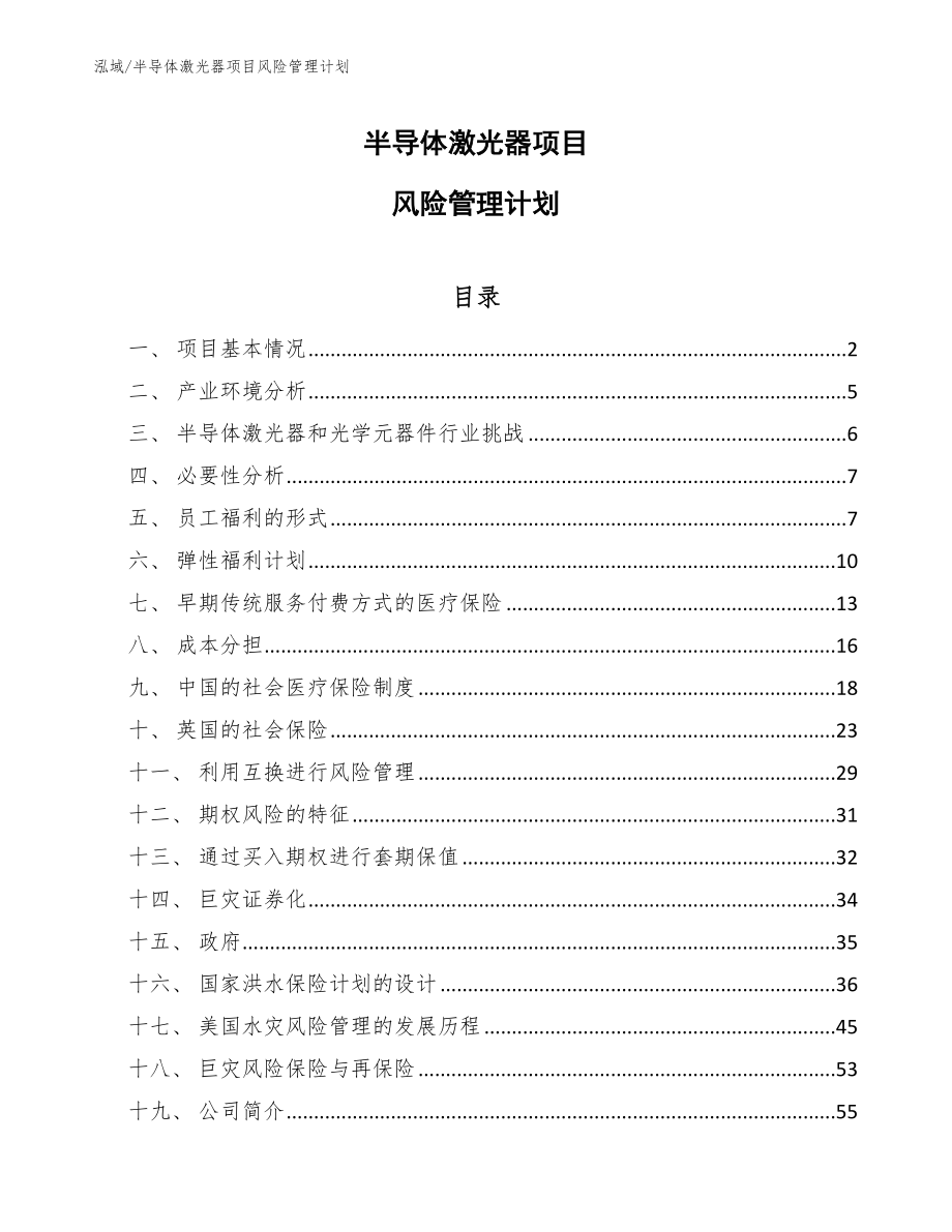 半导体激光器项目风险管理计划（参考）_第1页