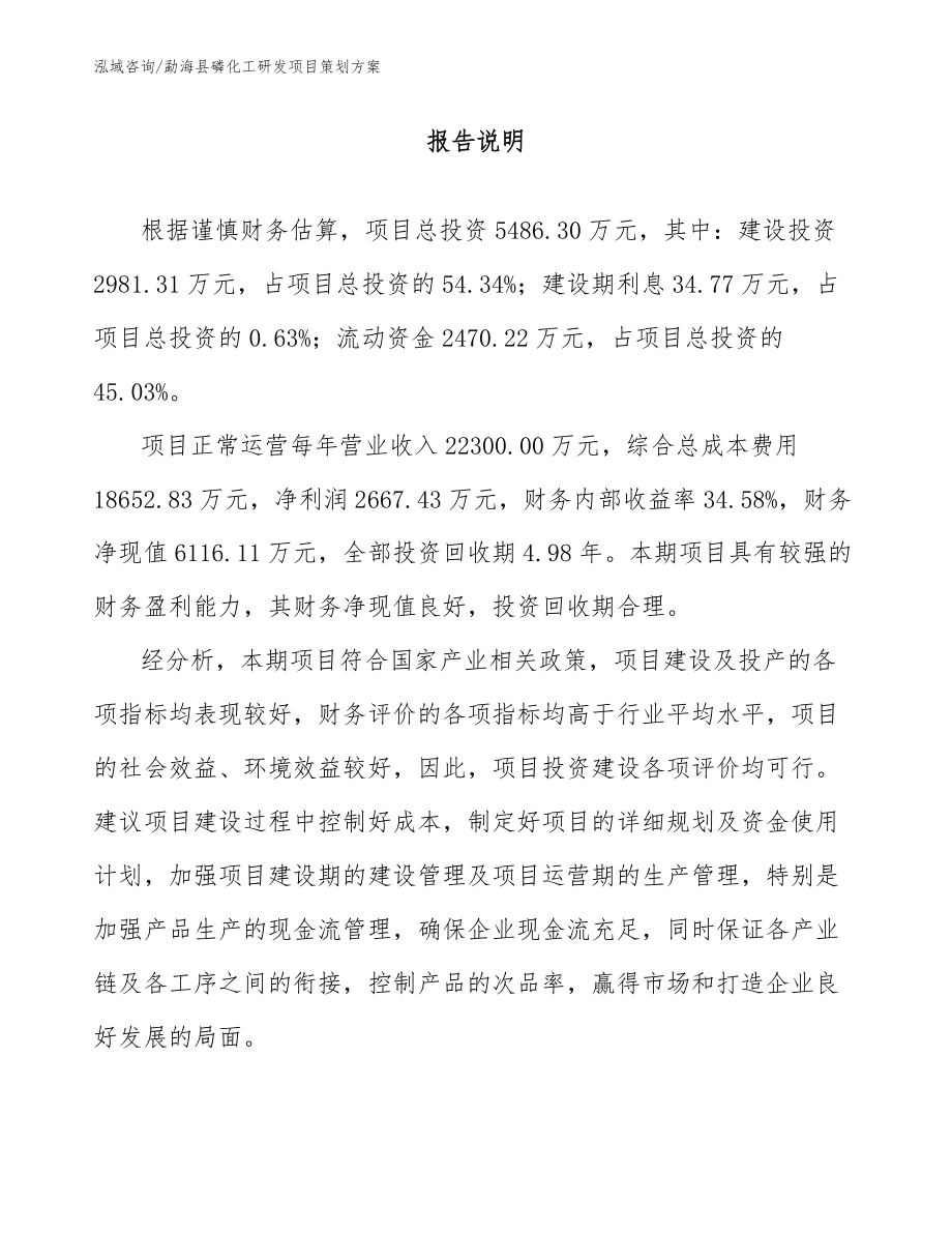 勐海县磷化工研发项目策划方案（模板范本）_第1页