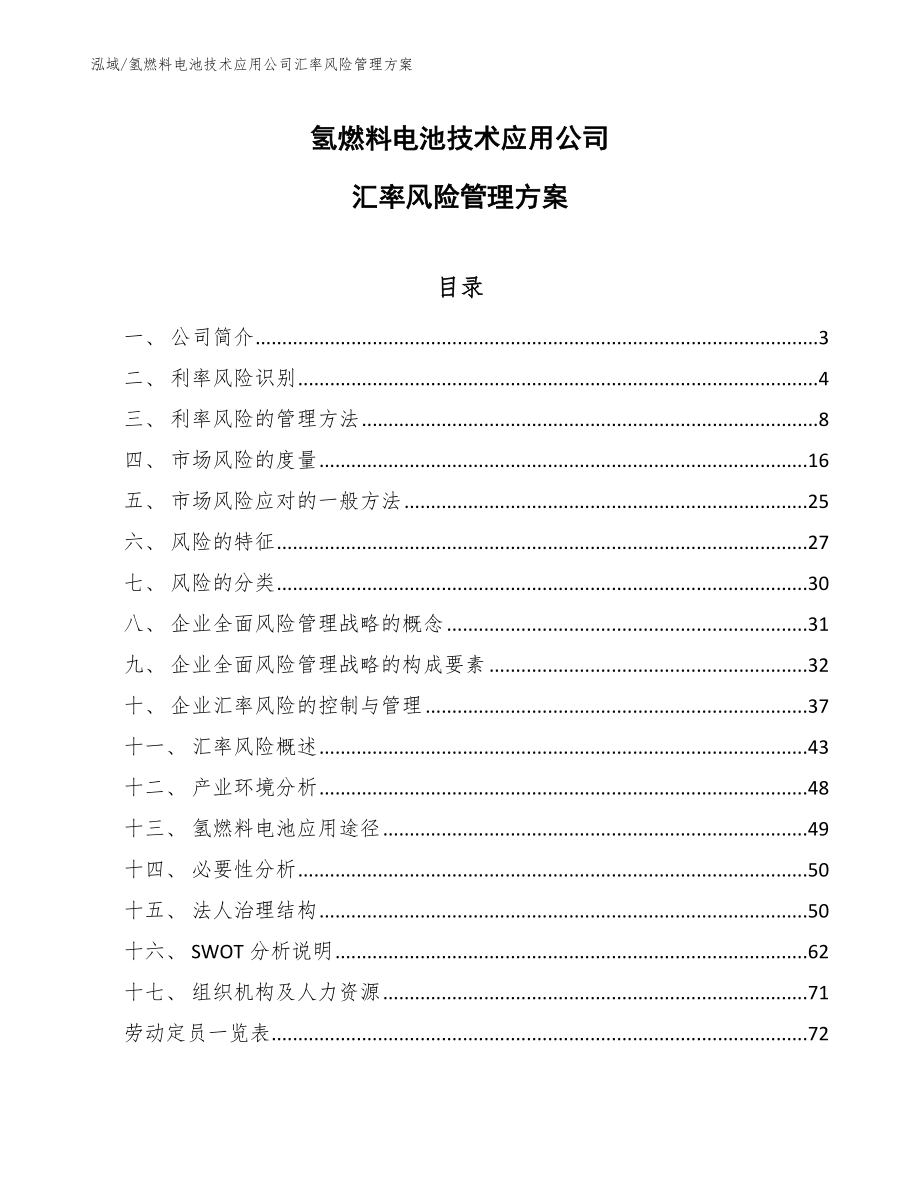 氢燃料电池技术应用公司汇率风险管理方案（参考）_第1页