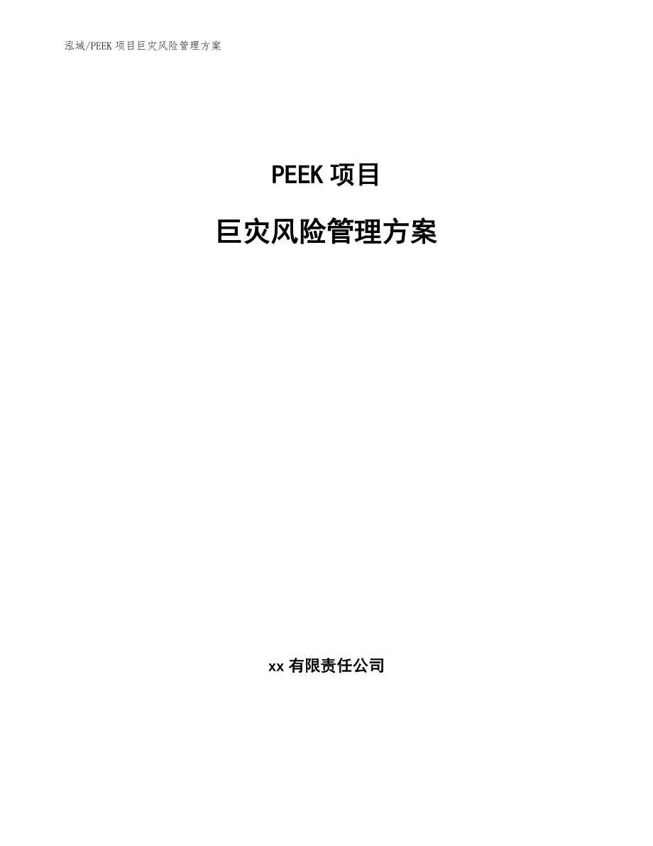 PEEK项目巨灾风险管理方案_第1页