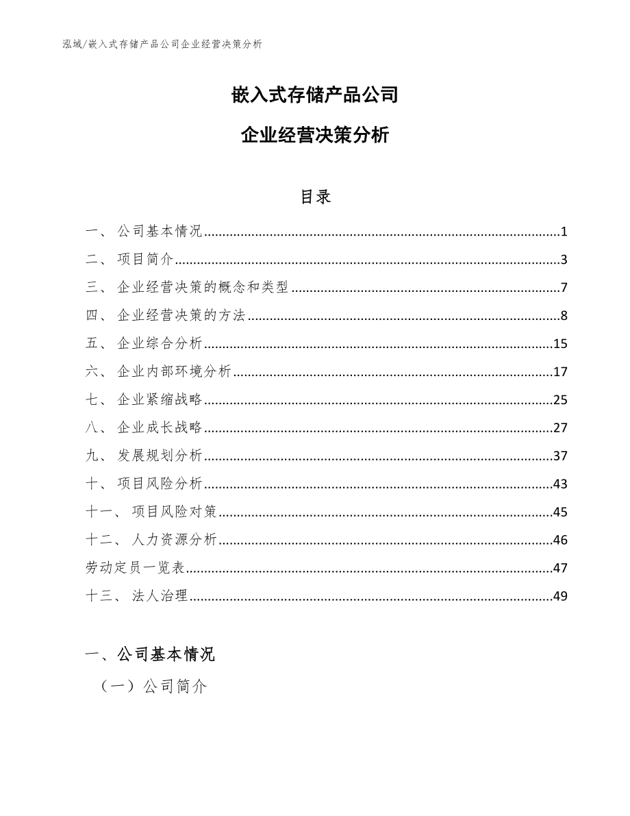 嵌入式存储产品公司企业经营决策分析【范文】_第1页