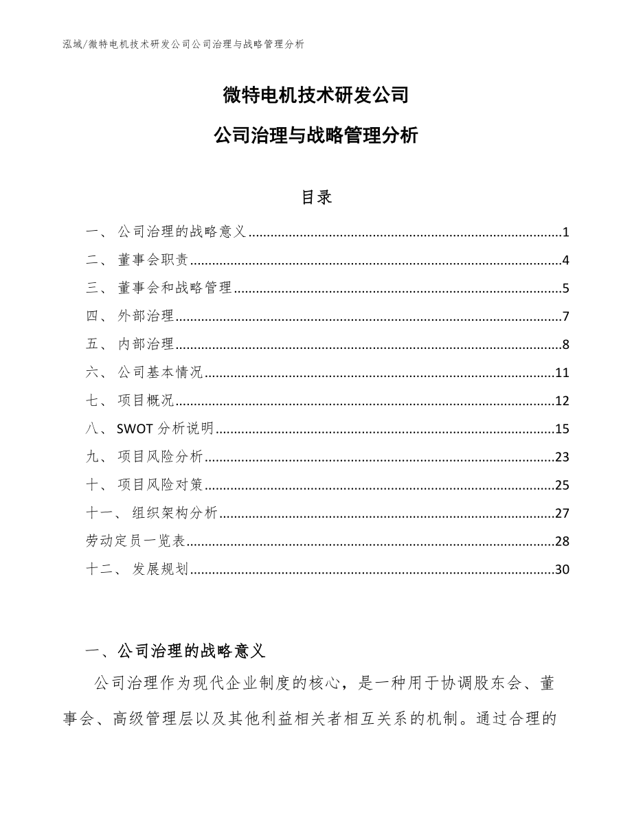 微特电机技术研发公司公司治理与战略管理分析【参考】_第1页