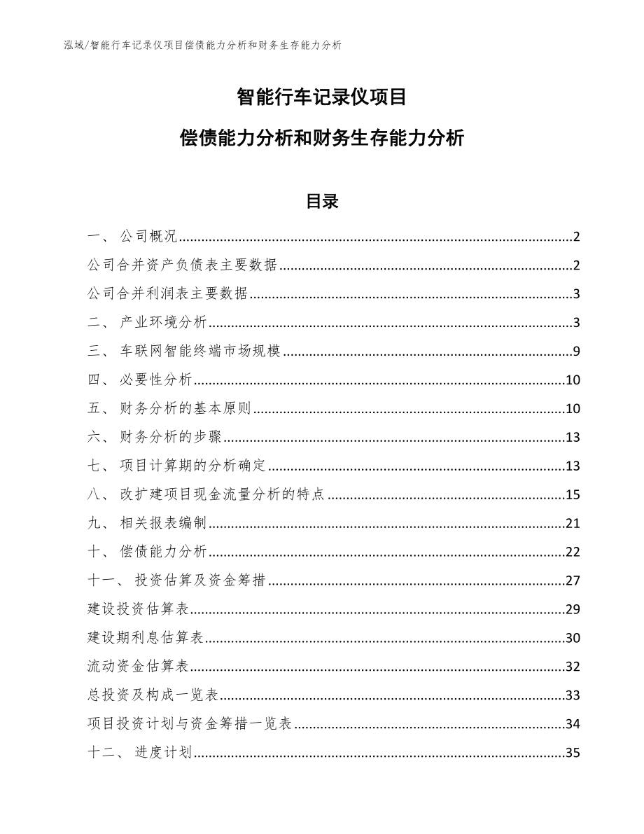 智能行车记录仪项目偿债能力分析和财务生存能力分析_第1页