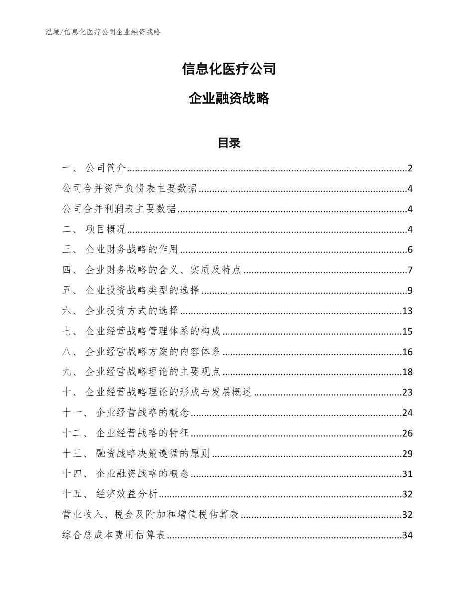 信息化医疗公司企业融资战略（参考）_第1页