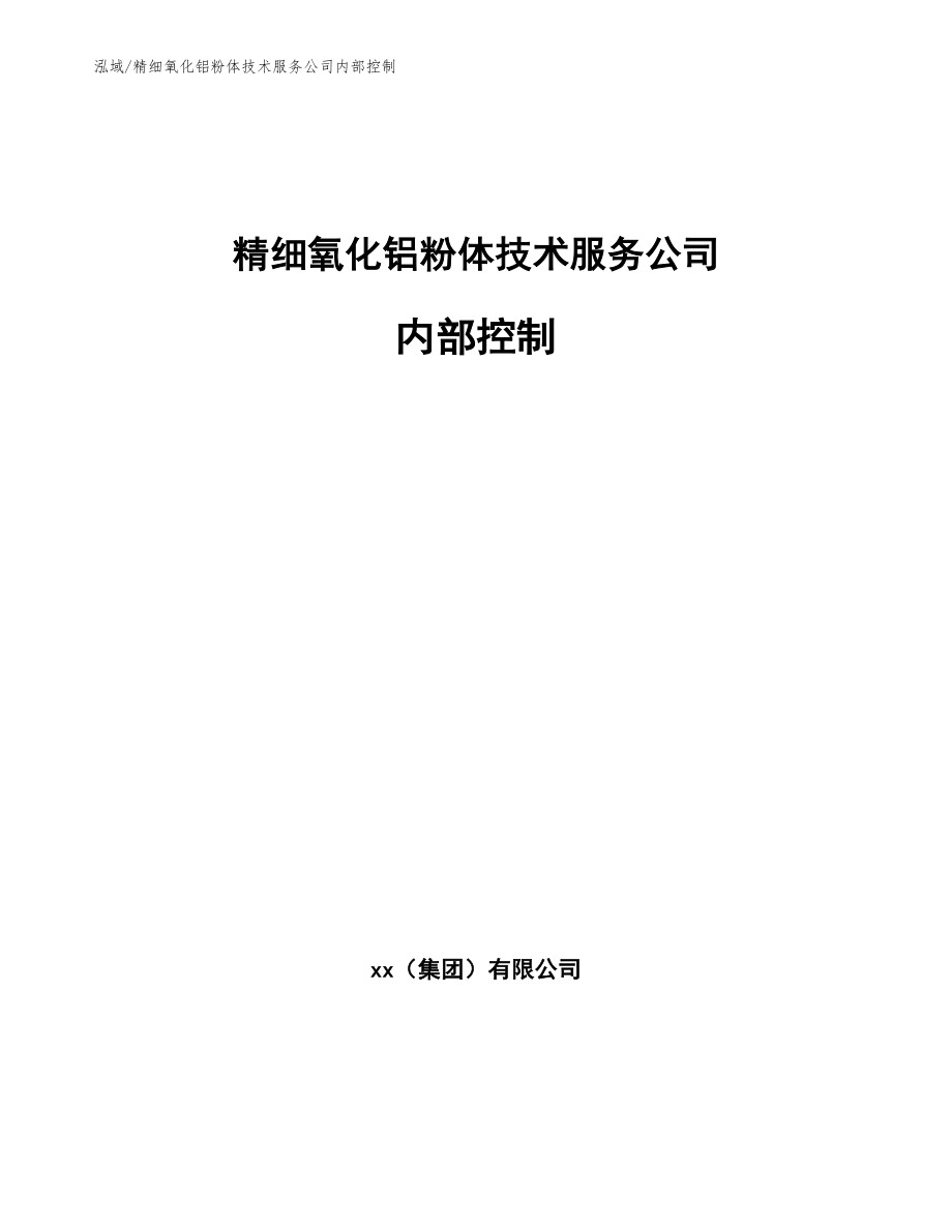 精细氧化铝粉体技术服务公司内部控制_参考_第1页