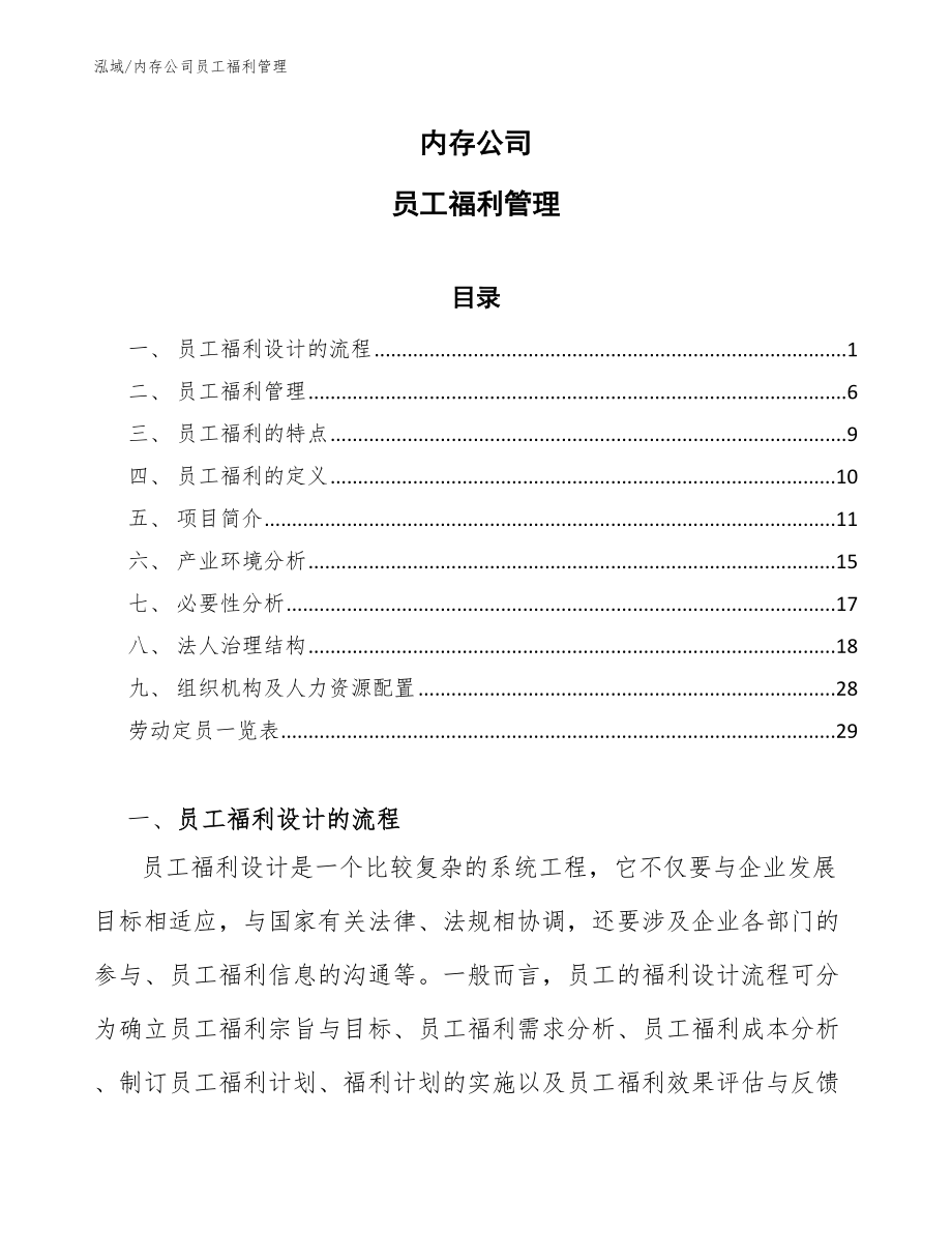 内存公司员工福利管理【范文】_第1页