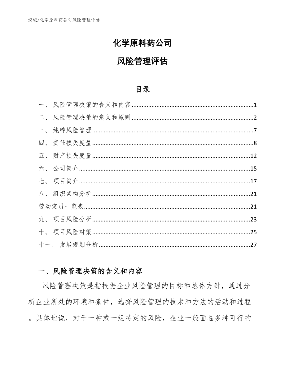 化学原料药公司风险管理评估【范文】_第1页