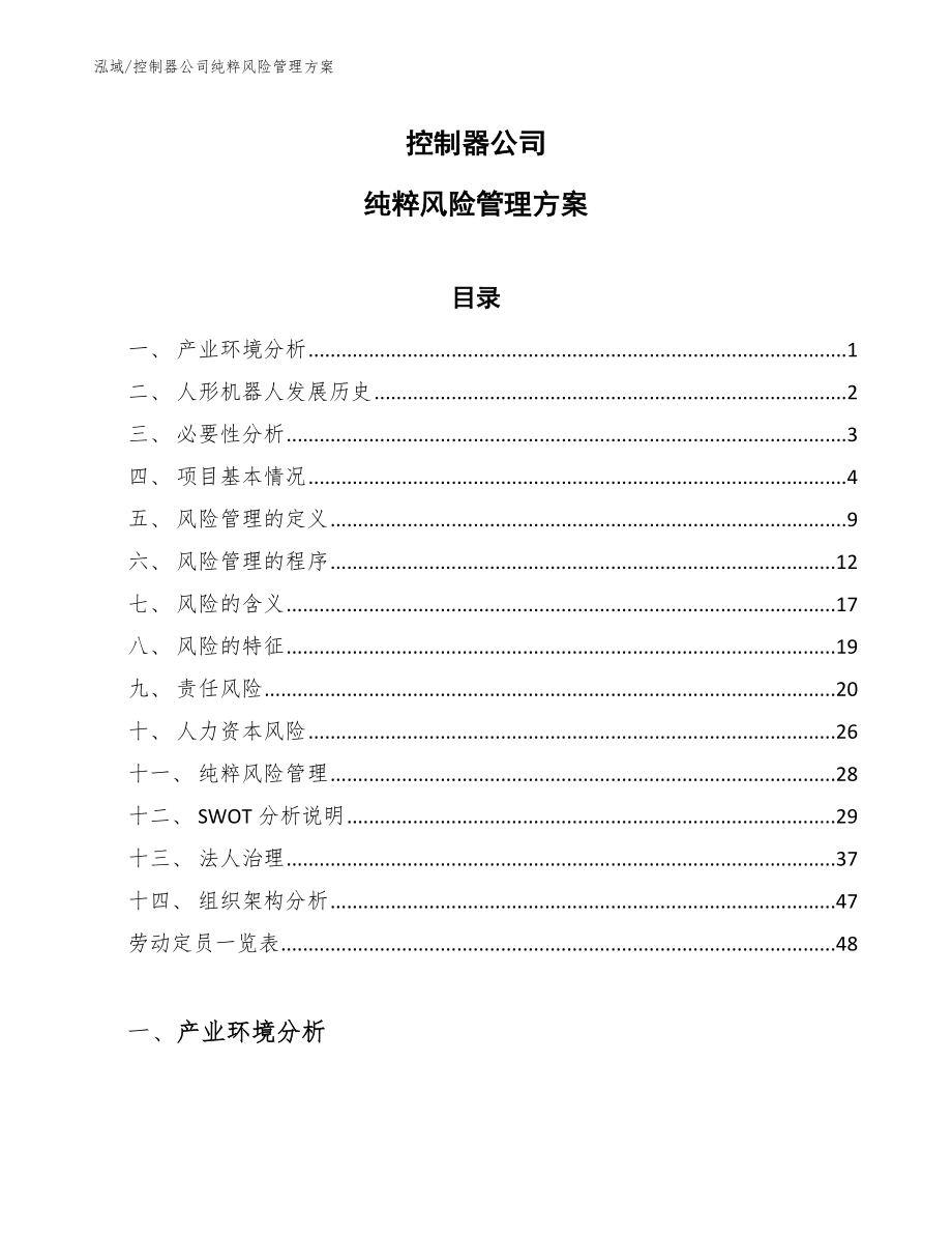 控制器公司纯粹风险管理方案【参考】_第1页