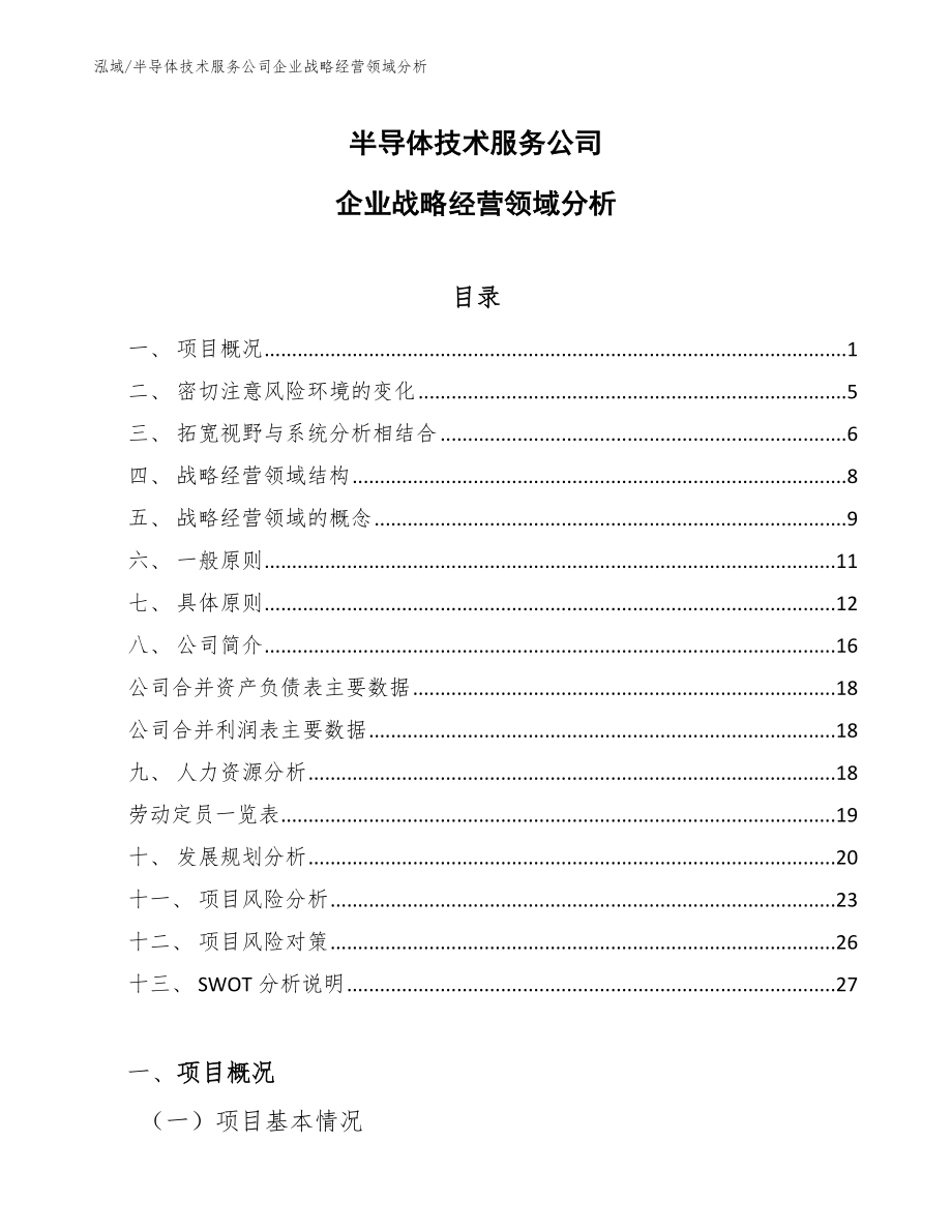 半导体技术服务公司企业战略经营领域分析_第1页