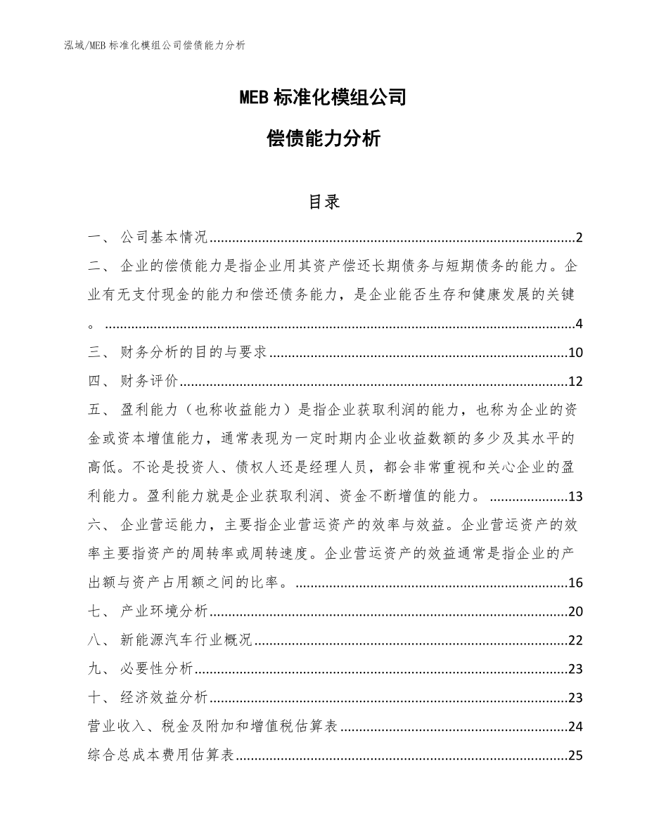 MEB标准化模组公司偿债能力分析_第1页