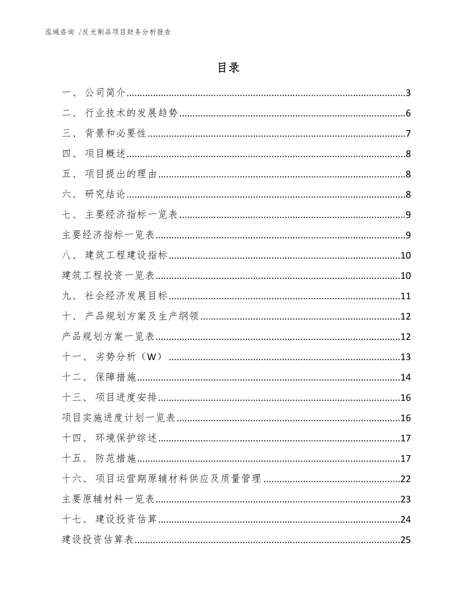 反光制品项目财务分析报告_第1页