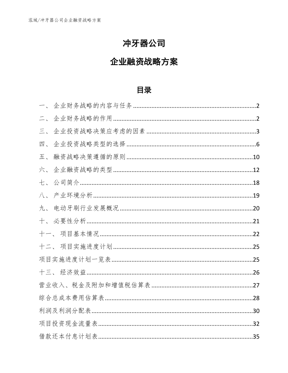 冲牙器公司企业融资战略方案（范文）_第1页