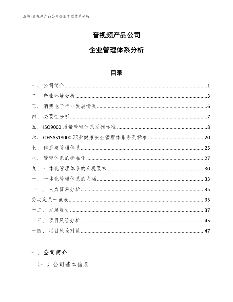 音视频产品公司企业管理体系分析【参考】_第1页